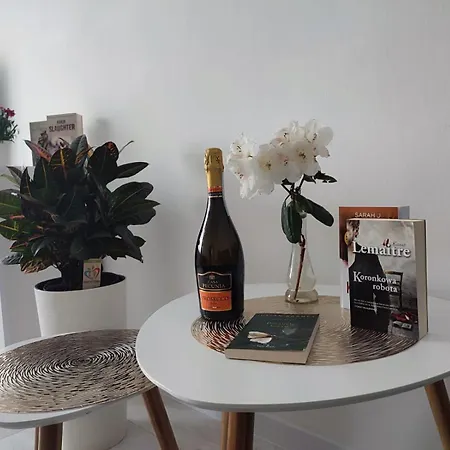 Kawalerka Apartament Ul Gieldowa 코워브제크