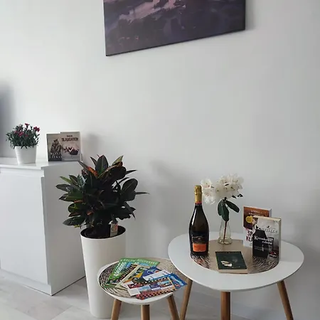 Lejlighed Kawalerka Apartament Ul Gieldowa